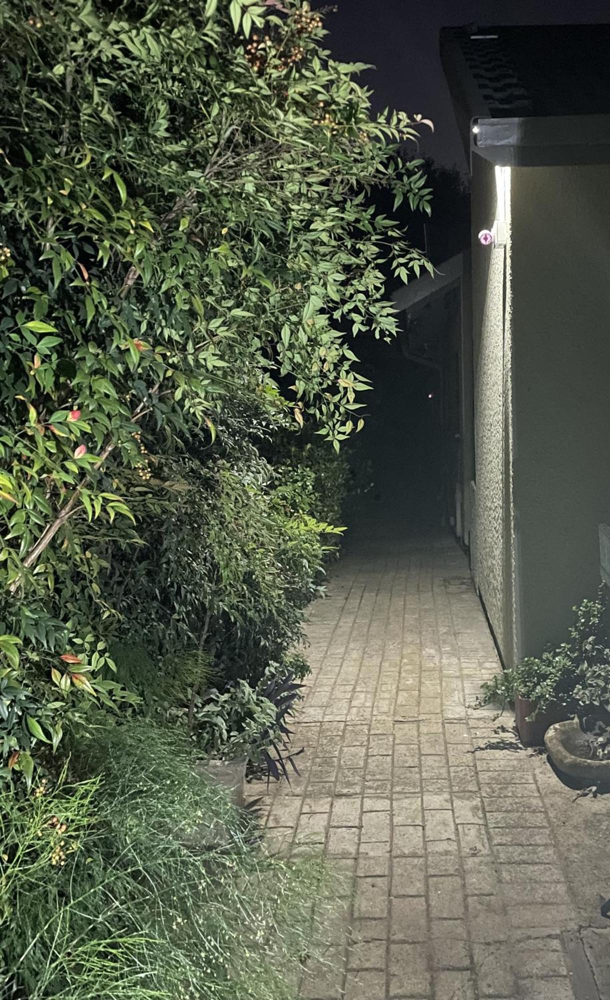 Celtis Lane Guest House Boksburg Eksteriør bilde